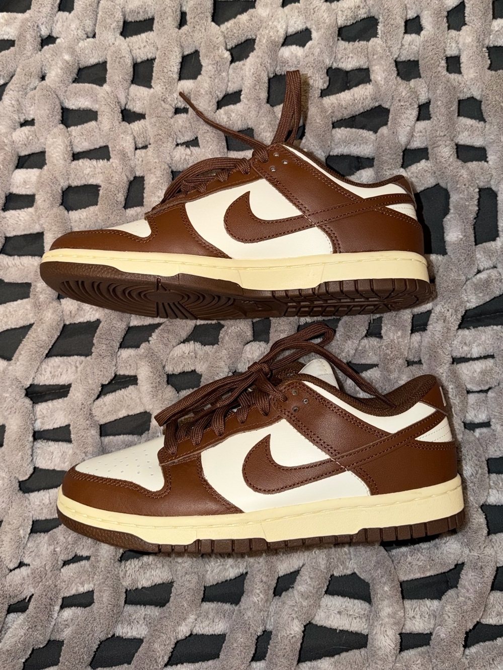 nwot nike dunks